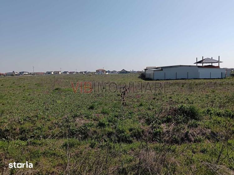 Teren de 600 mp, în Săcălaz