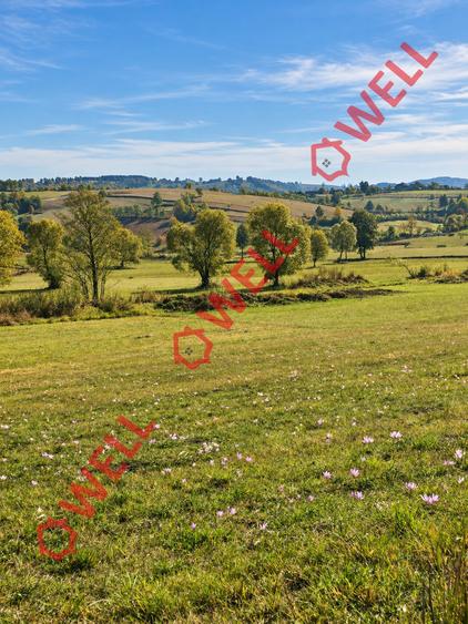 Teren intravilan de 2425 mp, în Barcani