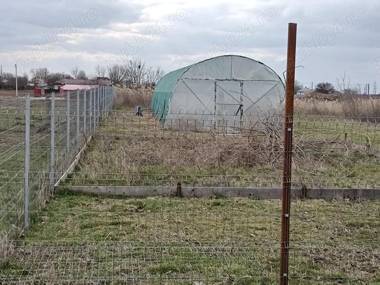 Teren de 2500 mp, în Romanu