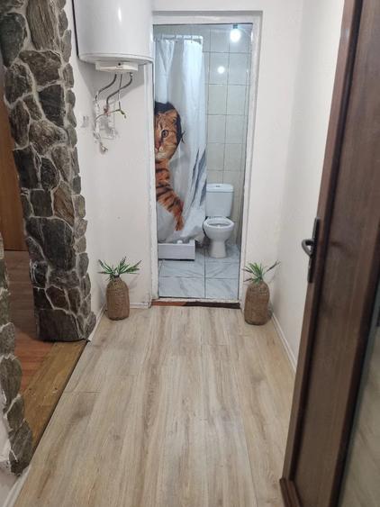 Casă cu 2 camere cu Teren 224 Mp în Copăceni