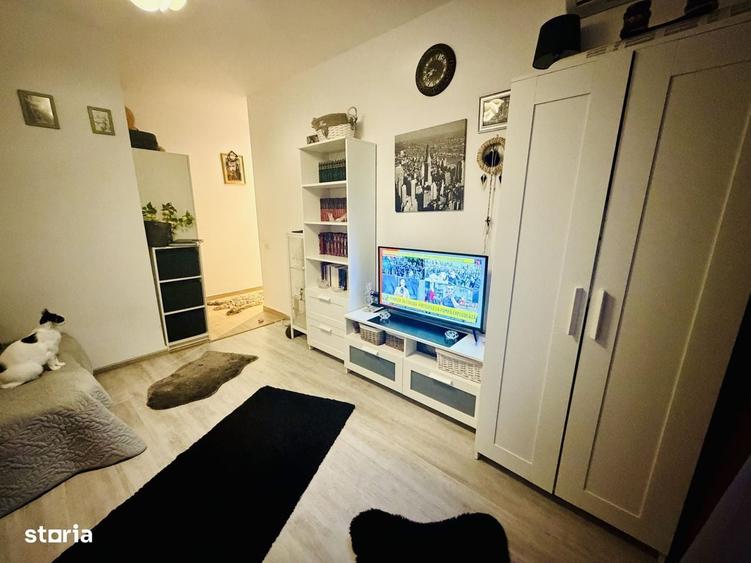 Apartament 2 camere Str Tineretului mobilat si utilat complet zona lin - 7