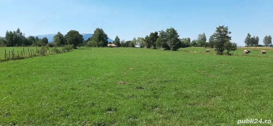 Teren de 9350 mp, în Bran