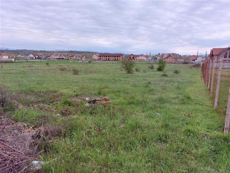 Teren Construcții intravilan de 4935 mp, în Periferie