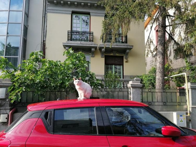 Apartament cu 3 camere decomandat în Dorobanți