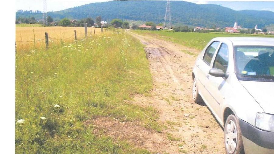 Teren agricol extravilan de 6900 mp, în Sud