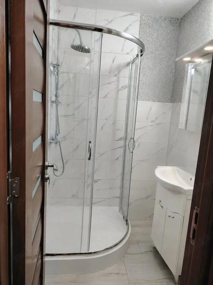 Garsonieră decomandată, mobilată în Alexandru cel Bun