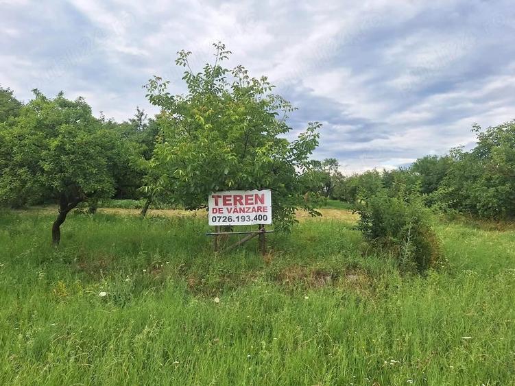 Teren de 10000 mp, în Tureni