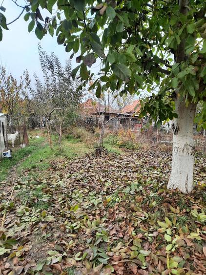 Casă individuală cu 4 camere cu Teren 1370 Mp în Plopi