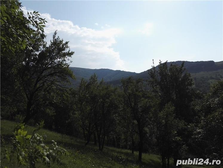Teren de 800 mp, în Valea Doftanei