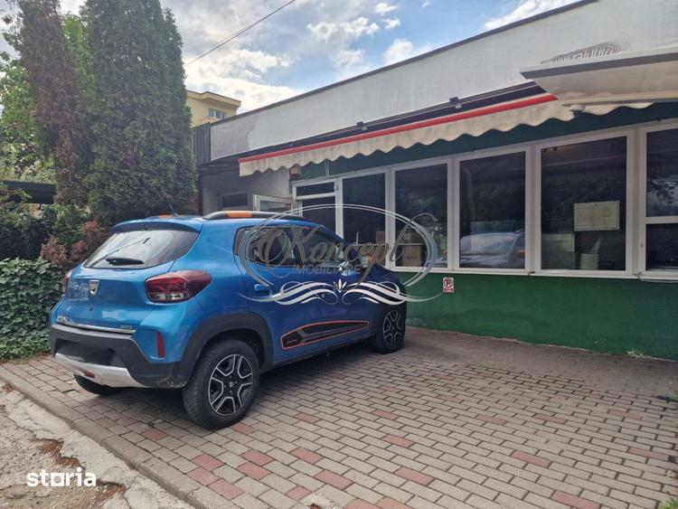 Spațiu comercial, de 50 mp, în Zorilor