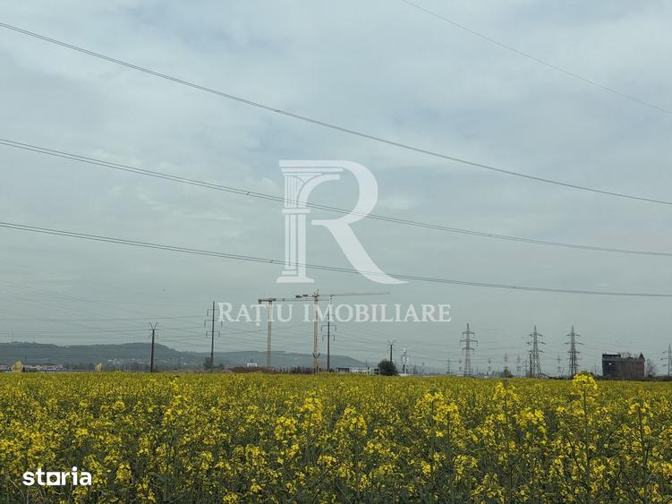 Teren de 15536 mp, în Nufărul