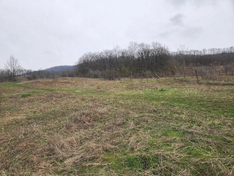 Teren de 8000 mp, în Șoimari