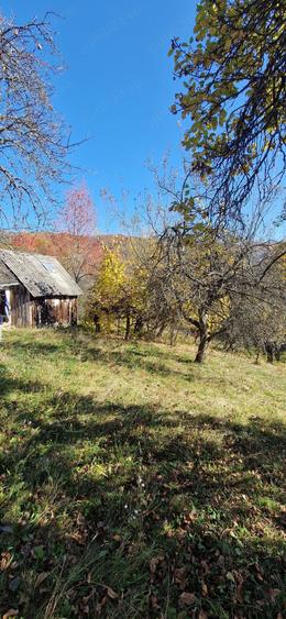 Teren de 10076 mp, în Nucșoara