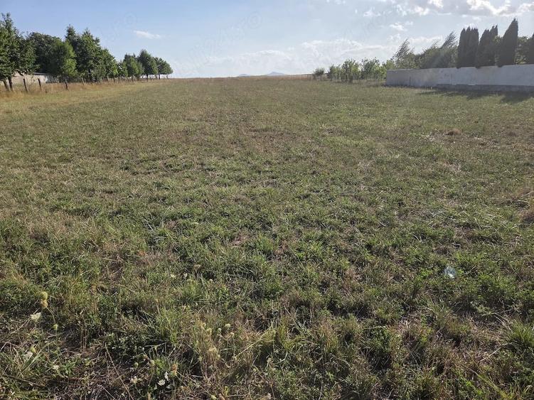 Casă cu 3 camere cu Teren 1200 Mp în Grumăzești