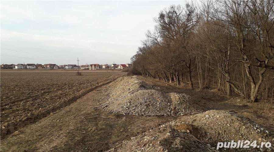 Teren de 1000 mp, în Băile Felix