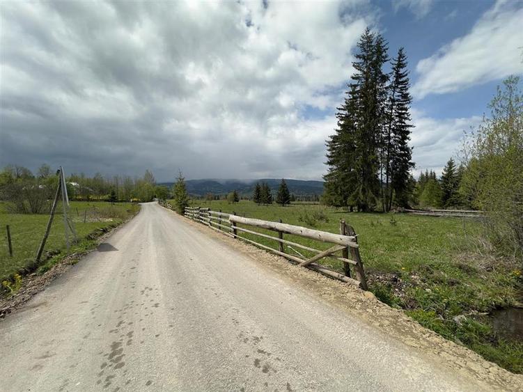 Teren Construcții intravilan de 6000 mp, în Șaru Dornei