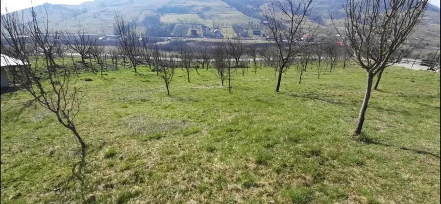 Teren de 1200 mp, în Central