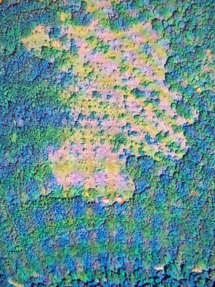 Pasune cu padure 5.5 ha sat Dumbravita Com Barzava - 5