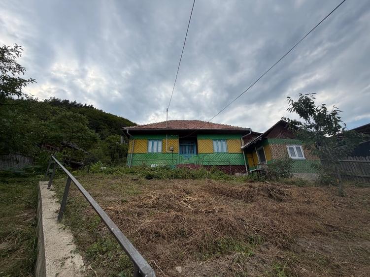 Casă individuală cu 4 camere cu Teren 2600 Mp în Gura Teghii