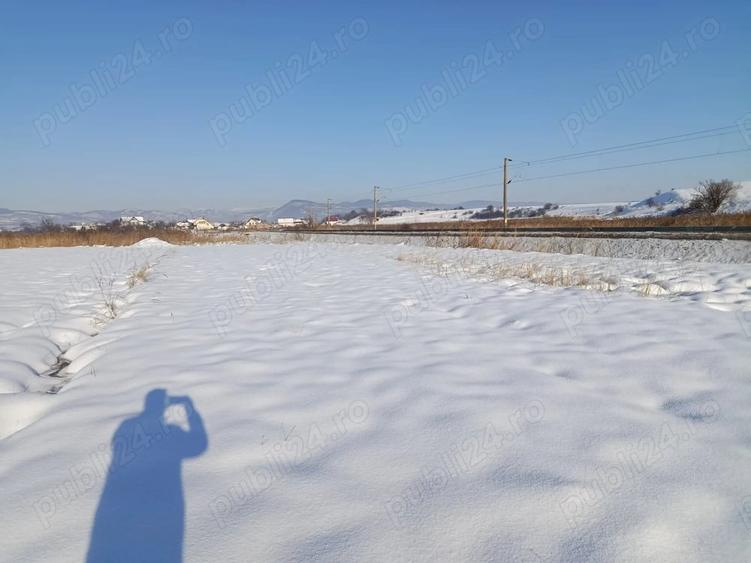 Teren de 4000 mp, în Florești