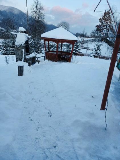 Teren de 800 mp, în Ibănești