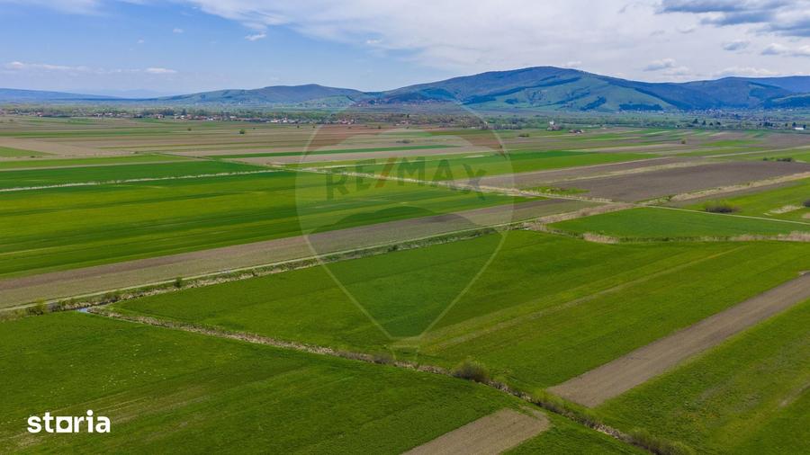 Teren de 4000 mp, în Prejmer