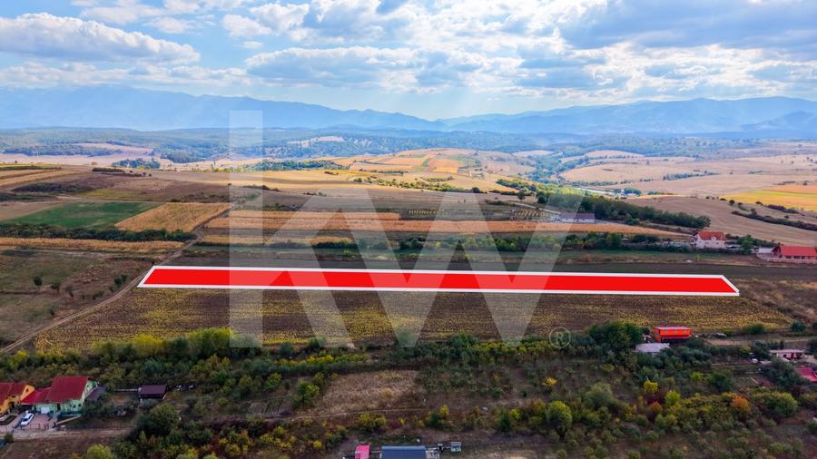 Teren agricol extravilan de 5000 mp, în Daia