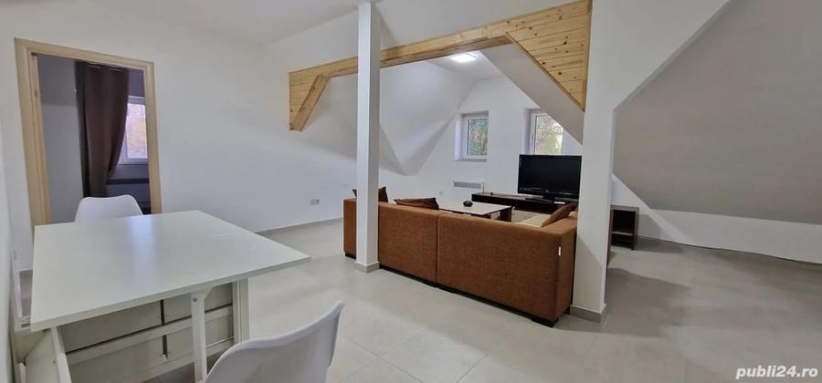 Apartament in vila, Dambovi?a-Lidl. - 11