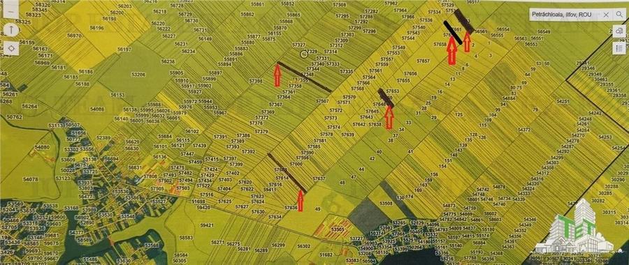 Teren agricol extravilan de 81906 mp, în Petrăchioaia