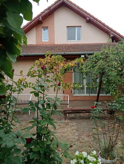 Casă cu 3 camere în Cerneteaz