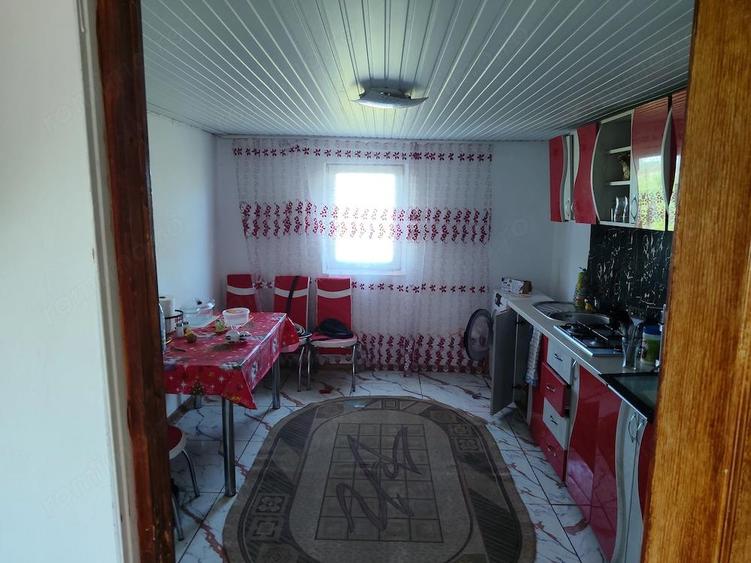 De vinzare casa in Sageata, Buzau - 6