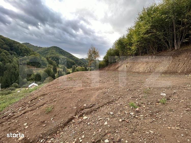 Teren intravilan 1,1 Ha, zona Bargau - 2