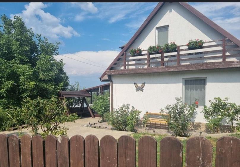 Casă cu 2 camere în Valea Moșneagului