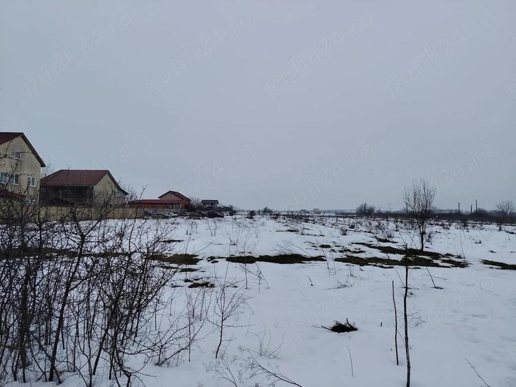 Teren intravilan 5.586 mp Clinceni, Bragadiru, langa Bucuresti | Ideal investitie - 4