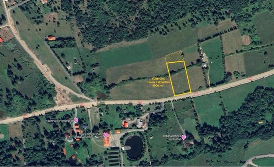 Teren Construcții extravilan de 4000 mp, în Borzont