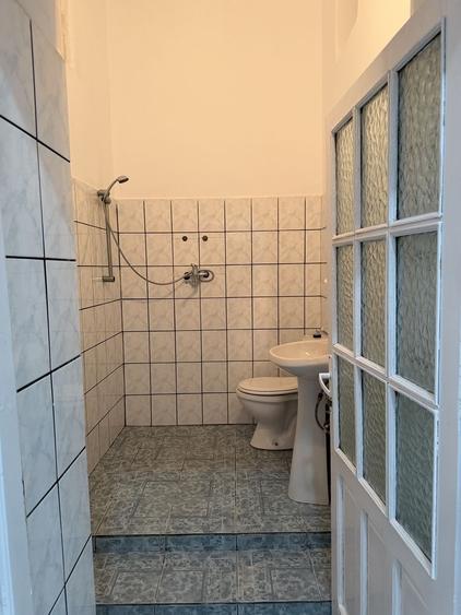 Spațiu comercial, de 60 mp, în Șepreuș