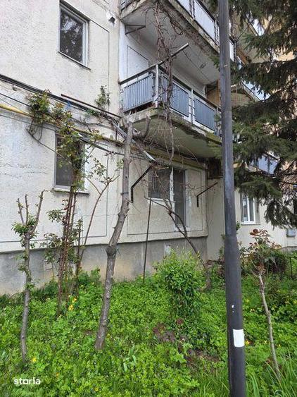 Vand ap 3 camere, parter, cart balta. - 1
