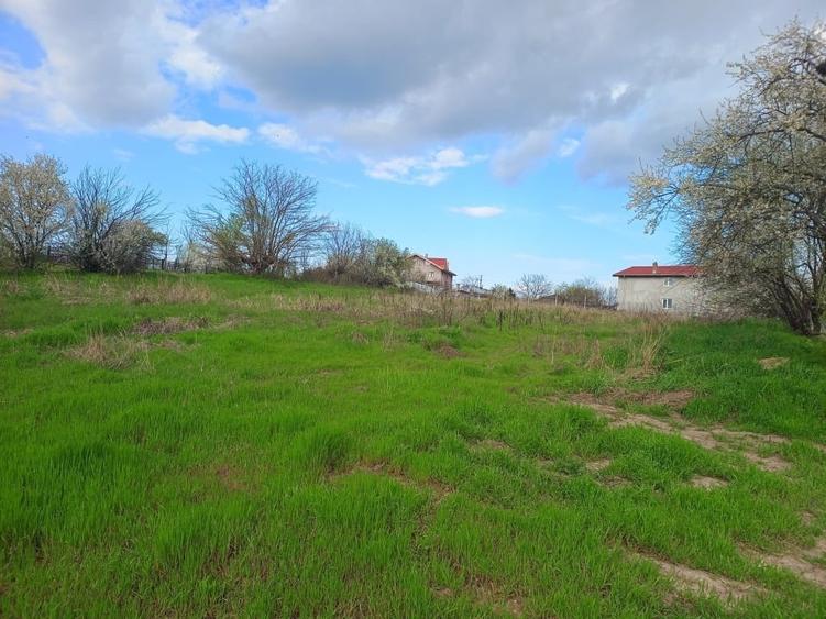 Teren agricol intravilan de 2648 mp, în Tânganu