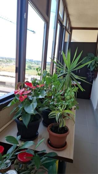 Apartament cu 3 camere decomandat în Rahova