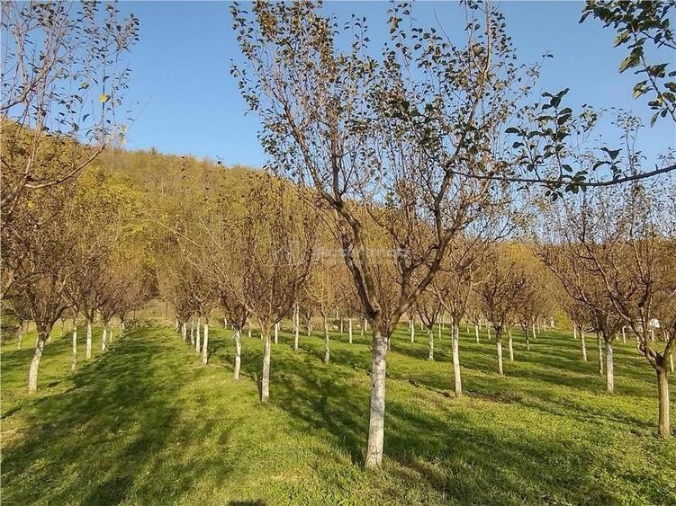 Teren de 1445 mp, în Slatina-Nera