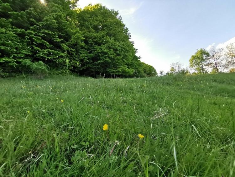 Teren Construcții intravilan de 1000 mp, în Bascov