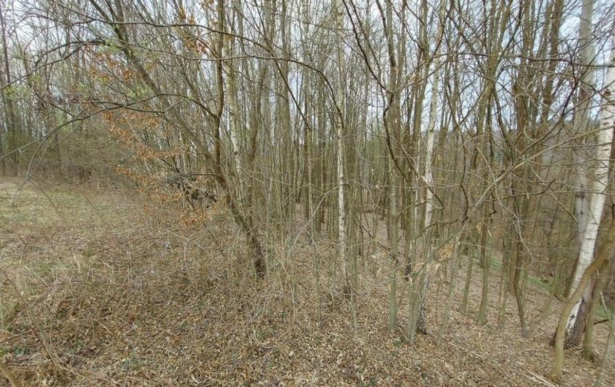 Teren agricol extravilan de 8800 mp, în Ribița