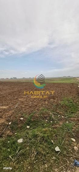 Teren de 1495 mp, în Berceni