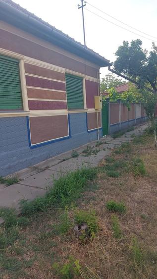 Casa de vanzare in Sofronea, cu livada si teren spatios - 2