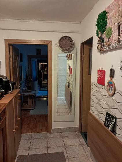 Apartament cu 2 camere semidecomandat, mobilat în Șagului