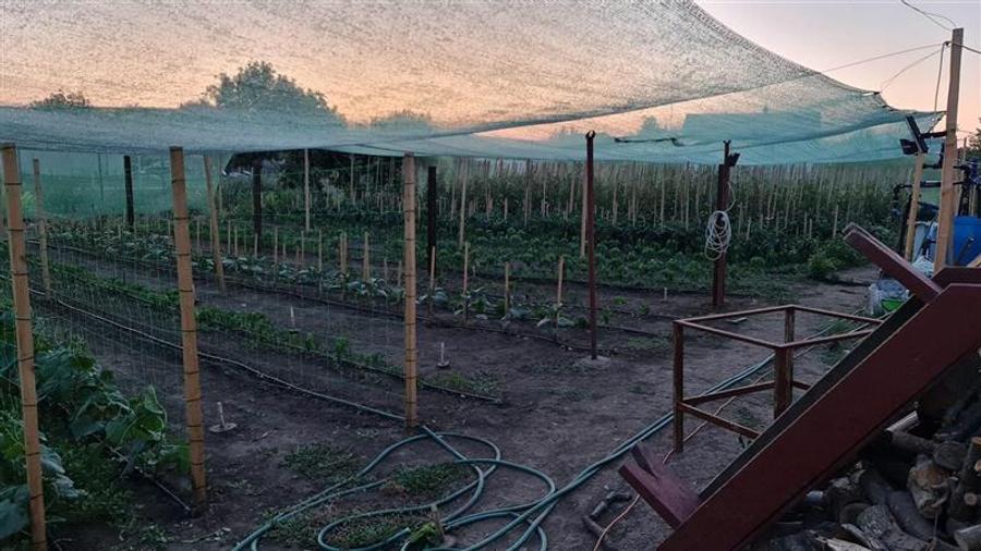 Casă individuală cu 2 camere cu Teren 1711 Mp în Topraisar