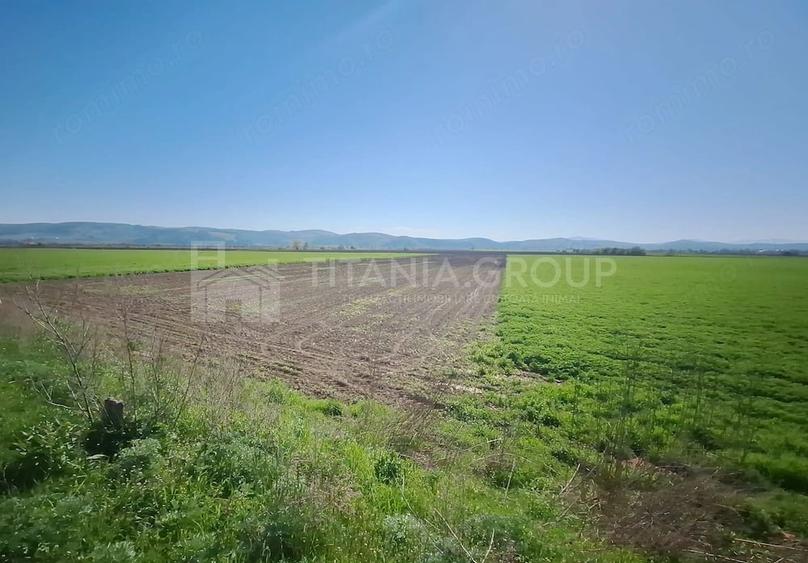Teren extravilan, 8700 mp, pretabil agricultura sau investi?ie - Bod - 4