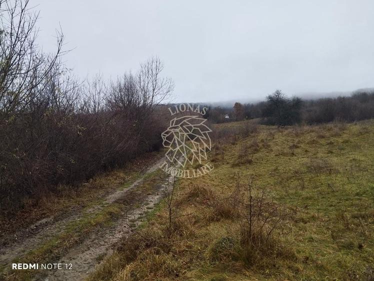 Teren Construcții extravilan de 1000 mp, în Sud-Est