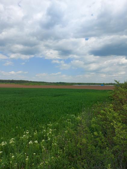 Teren Construcții intravilan de 35000 mp, în Bălteni
