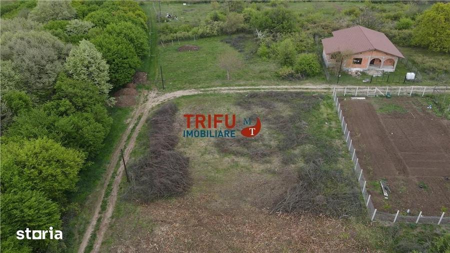 Teren de 884 mp, în Cetate